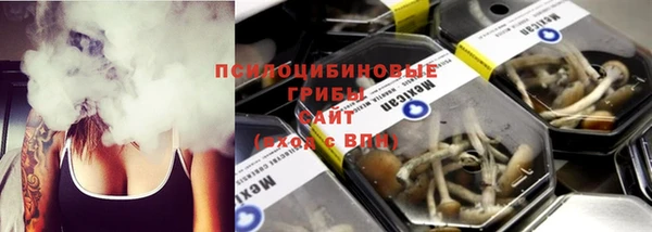 прущие грибы Дмитриев