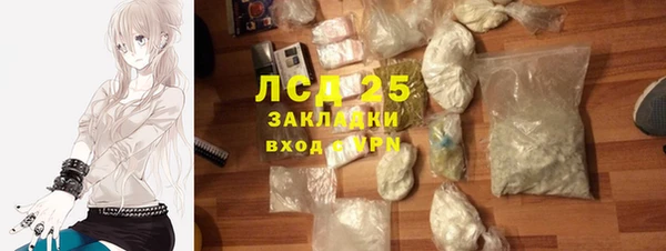 прущие грибы Дмитриев