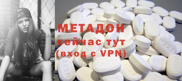 прущие грибы Дмитриев