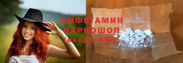 прущие грибы Дмитриев