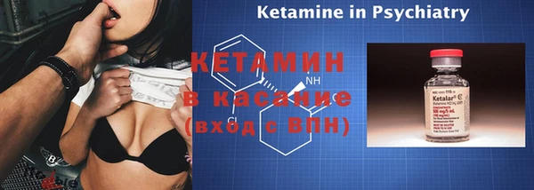 прущие грибы Дмитриев