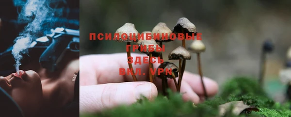 mix Дмитров