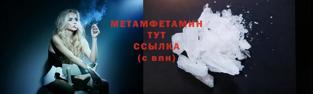 прущие грибы Дмитриев