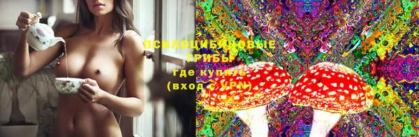 прущие грибы Дмитриев