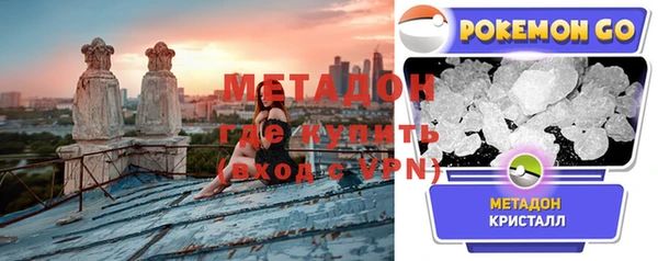 прущие грибы Дмитриев